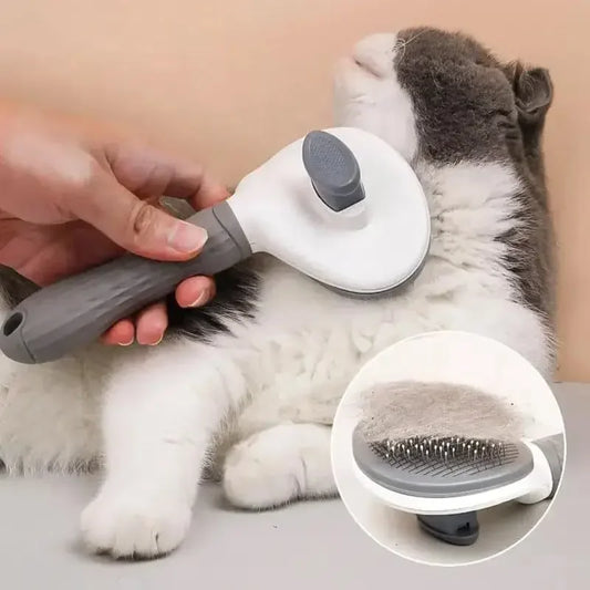 Self-Cleaning Hair Brush