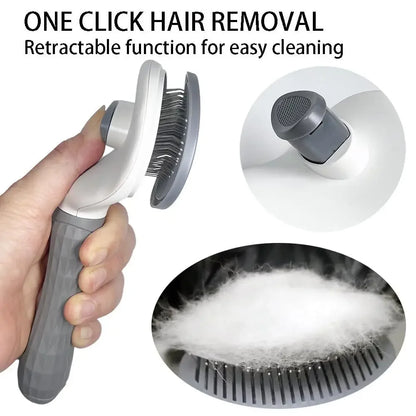 Self-Cleaning Hair Brush